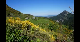 Gîte Chaumière dans un écrin de nature