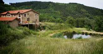 L'Asile - Domaine Le Trouillet L'Asile - Domaine Le Trouillet