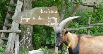 Gîte d'étape La Louisette Gîte d'étape La Louisette