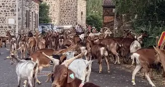 Gîte d'étape La Louisette Gîte d'étape La Louisette