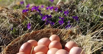 La ferme de Cagnard La ferme de Cagnard