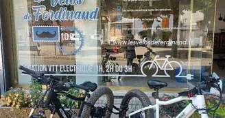 Les vélos de Ferdinand Les vélos de Ferdinand