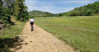 Les vélos de Ferdinand Les vélos de Ferdinand