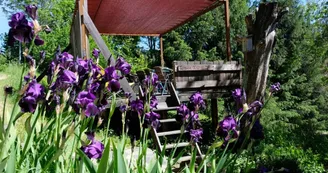 Gîte La Maison Utopie Le paradoxe perdu
