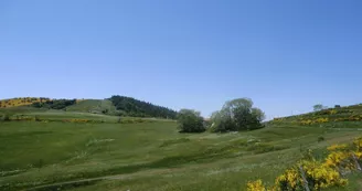 Gîte du Bez Gîte du Bez