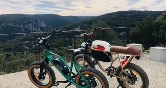 Location de vélos électrique vintage avec les Bikes de Papa Location de vélos électrique vintage avec les Bikes de Papa