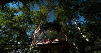 Nuit insolite en bulle Nuit insolite en bulle