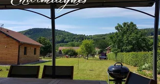 Chalet Les Charmalynes - 1