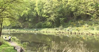 Étang et vallée du Schafbach
