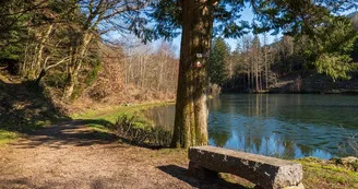 Le Coteau du Bambois Le Coteau du Bambois