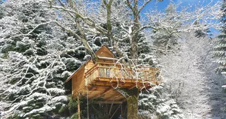 Cabanes dans les arbres Nids des Vosges