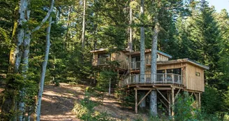 Cabanes dans les arbres Nids des Vosges