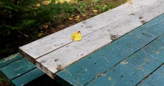 Aire de pique-nique de Condé-Northen Aire de pique-nique de Condé-Northen