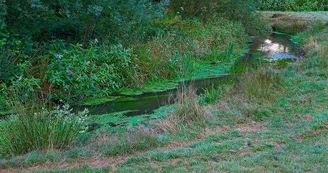 La vallée de la Horn La vallée de la Horn
