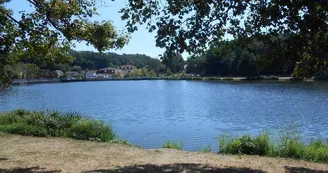 Aires de pique-nique du lac de Creutzwald Aires de pique-nique du lac de Creutzwald