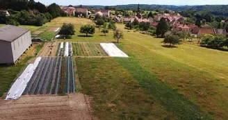 La ferme affable