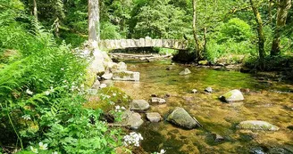 Les îles Marie-Louise Les îles Marie-Louise