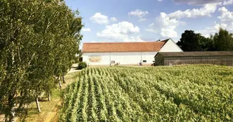 Ferme du Kleinwald