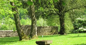 Les arbres fabuleux Les arbres fabuleux