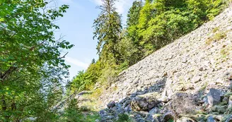 La réserve biologique intégrale du Kertoff La réserve biologique intégrale du Kertoff