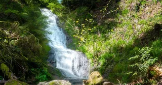 Le saut de la bourrique Le saut de la bourrique
