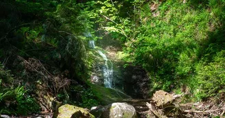Le saut de la bourrique Le saut de la bourrique