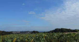 Aire de pique-nique de Longeville-lès-Saint-Avold Aire de pique-nique de Longeville-lès-Saint-Avold