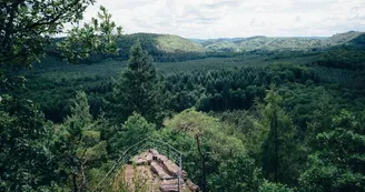 Réserve naturelle des rochers et tourbières du pays de Bitche Réserve naturelle des rochers et tourbières du pays de Bitche