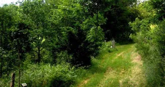 Arboretum Arboretum