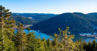 Le point de vue Morand