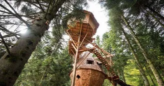 La clairière aux cabanes La clairière aux cabanes