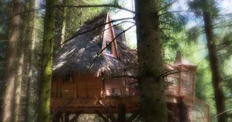 La clairière aux cabanes La clairière aux cabanes