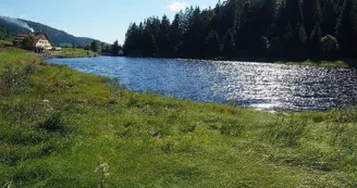 Les tourbières de Lispach et de la Ténine à La Bresse Les tourbières de Lispach et de la Ténine à La Bresse
