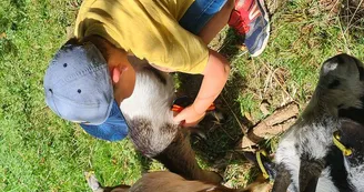 Complicités animales - Ferme pédagogique