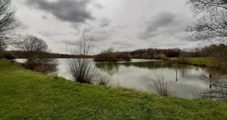 Etang de Trainou - Tourisme Loiret MPaleau 17.03.2022