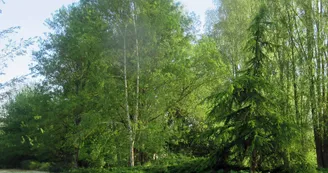 PARC 2 PARC 2