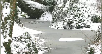 PARC EN HIVER PARC EN HIVER