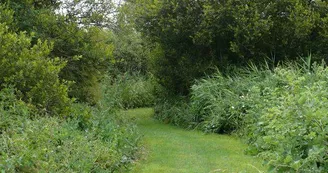 Sentier Sentier