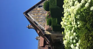 maison jacques Namont - hortensia en fleurs