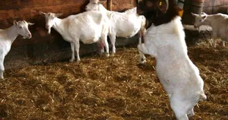 Ferme-du-Plessis-Dore---Poulaines4 Ferme-du-Plessis-Dore---Poulaines4