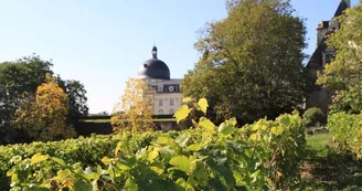 Château de Valençay et vignes