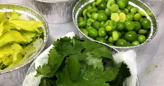 5.Herbes-Fraiches 5.Herbes-Fraiches