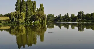 etang-st-martin etang-st-martin