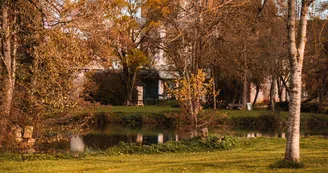 Mehun-sur-Yevre-Ad2T_du_Cher-6081 Mehun-sur-Yevre-Ad2T_du_Cher-6081