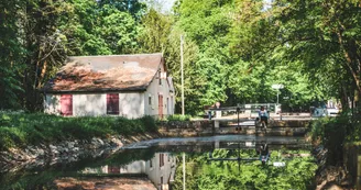 Mehun-sur-Yevre-Ad2T_du_Cher-6179 Mehun-sur-Yevre-Ad2T_du_Cher-6179