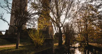 Mehun-sur-Yevre_-_Chateau_Charles_VII-Ad2T_du_Cher-6068 Mehun-sur-Yevre_-_Chateau_Charles_VII-Ad2T_du_Cher-6068