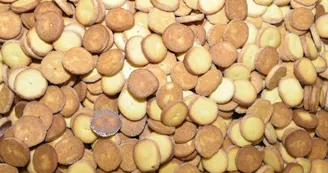 Sablés de Nançay - OTVF - Sablés de Nançay - OTVF -