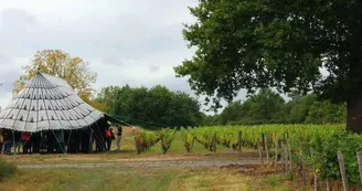 Domaine Siret Domaine Siret