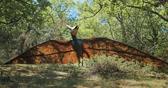 IMG-2364 IMG-2364