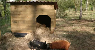 La Colline aux Chalets